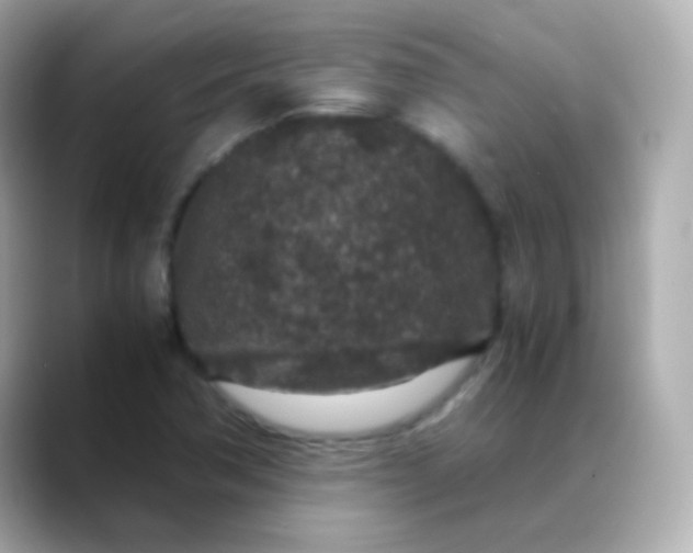 X0000088461362200706051317