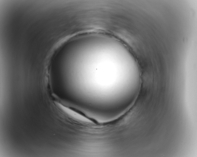 X0000088461363200706051317