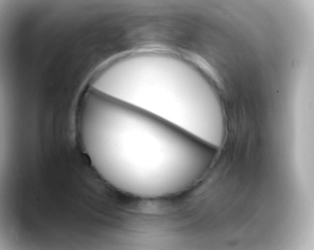 X0000088461364200706051317