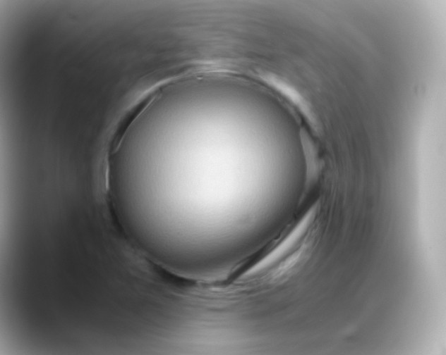 X0000088461365200706051317