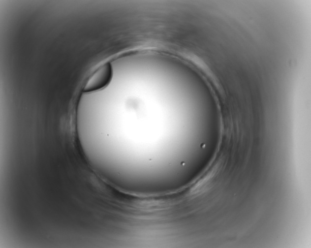 X0000088461366200706051317