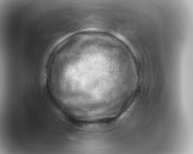 X0000088461367200706051316