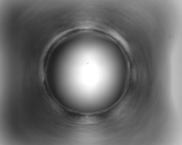 X0000088461368200706051316