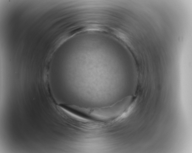 X0000088461369200706051316