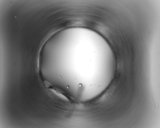 X0000088461370200706051316