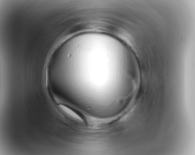 X0000088461371200706051316