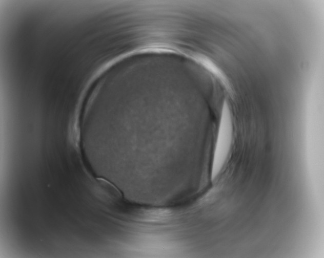 X0000088461372200706051316