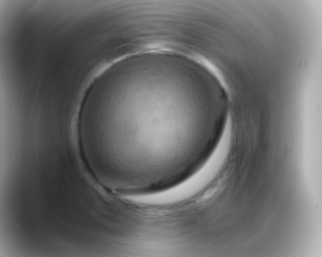 X0000088461373200706051316