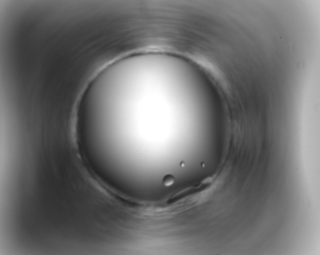 X0000088461374200706051316