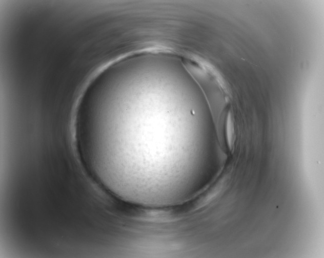 X0000088461375200706051316