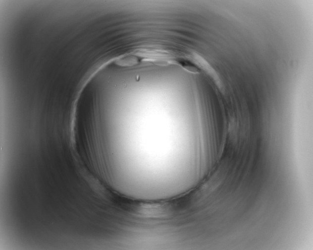 X0000088461378200706051316