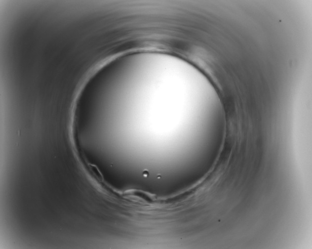 X0000088461379200706051316