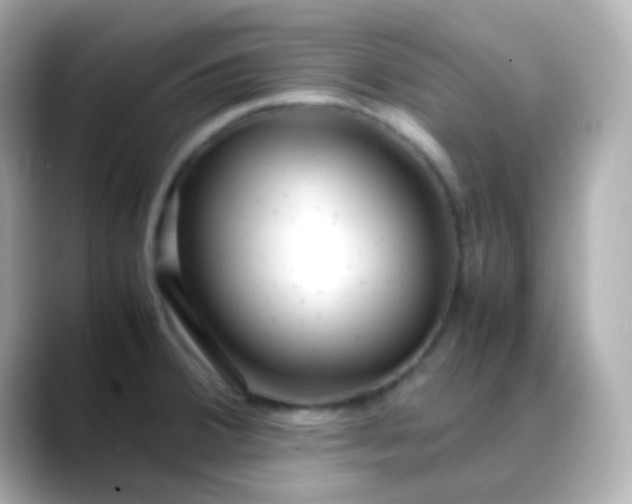 X0000088461380200706051316