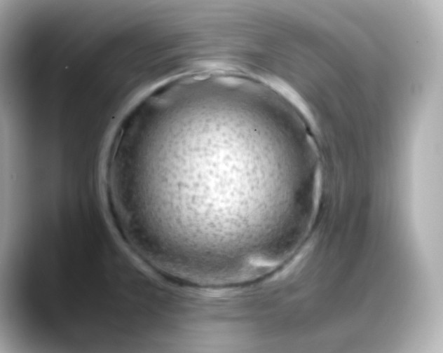 X0000088461381200706051316