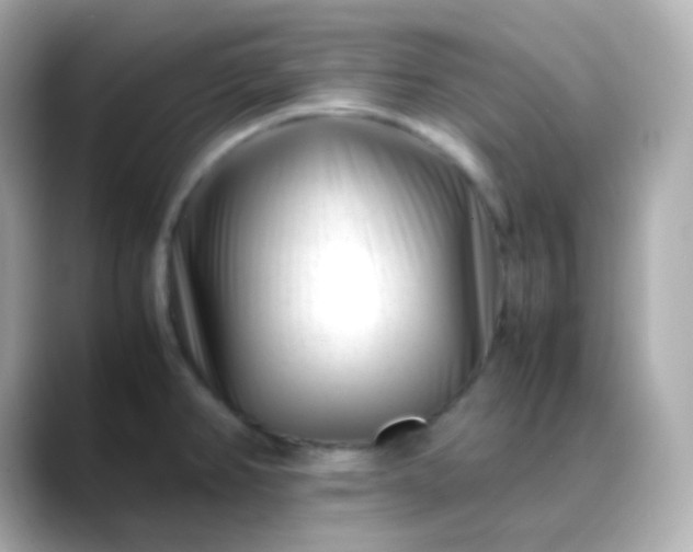 X0000088461382200706051316