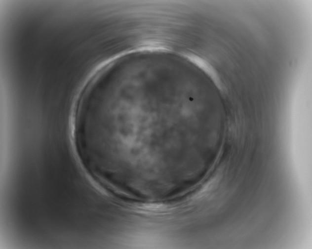 X0000088461383200706051316