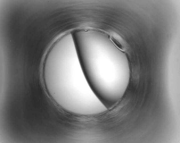 X0000088461384200706051316