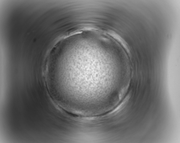 X0000088461385200706051316