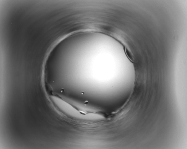 X0000088461387200706051316