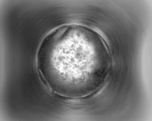 X0000088461388200706051316