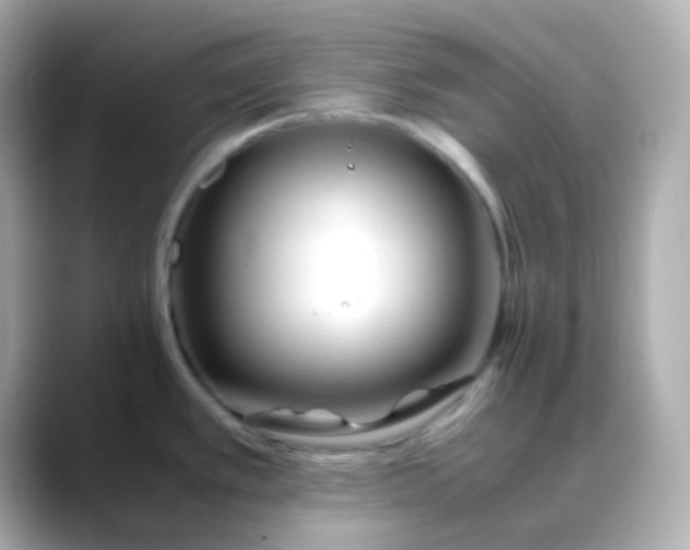 X0000088461389200706051316