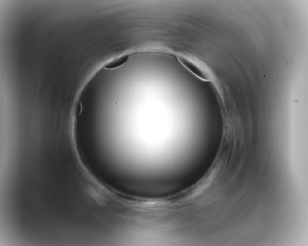 X0000088461390200706051316