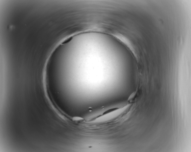 X0000088461391200706051316