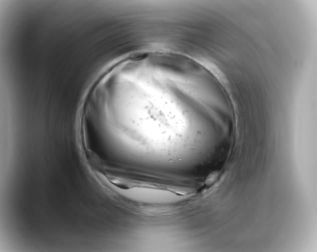 X0000088461392200706051316