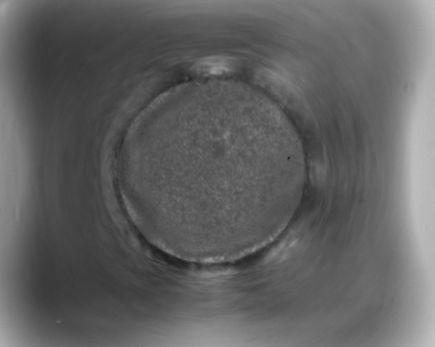 X0000088461393200706051316