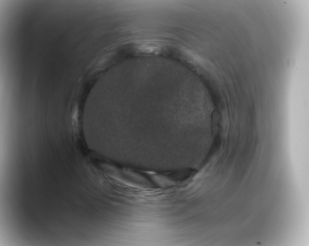 X0000088461394200706051316