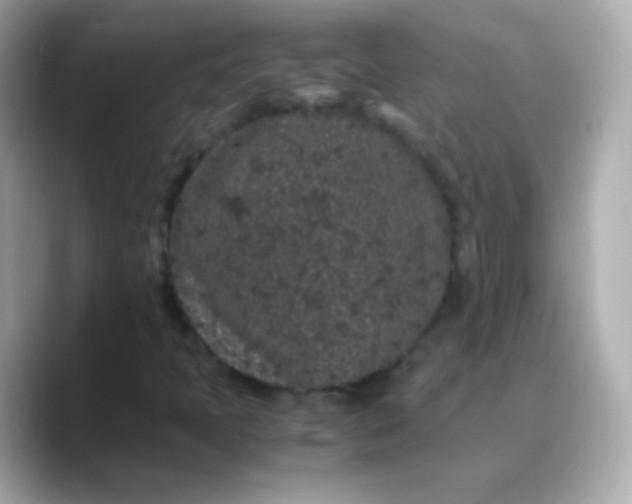 X0000088461397200706051316