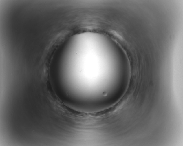 X0000088461398200706051316