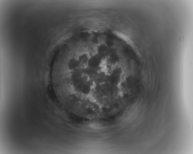 X0000088461399200706051316