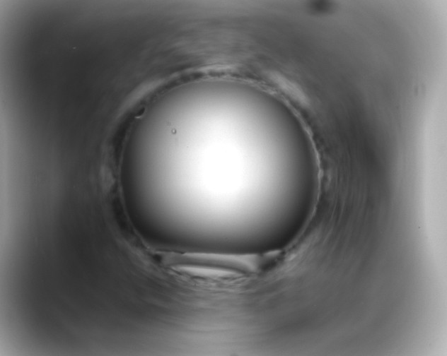 X0000088461400200706051316