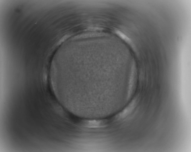 X0000088461401200706051316