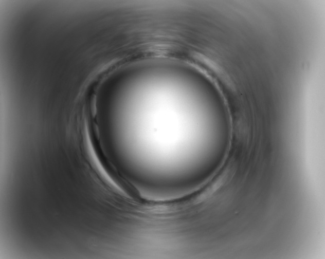 X0000088461402200706051316