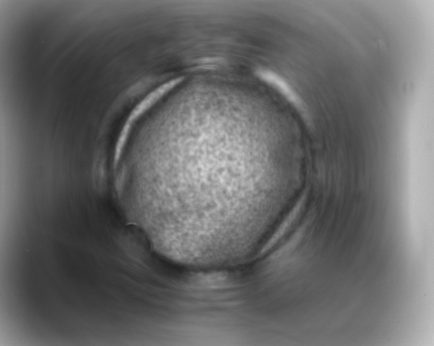 X0000088461403200706051316