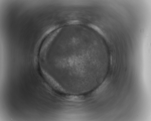 X0000088461405200706051316