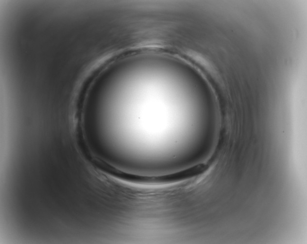 X0000088461406200706051316