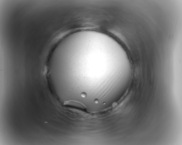 X0000088461407200706051316