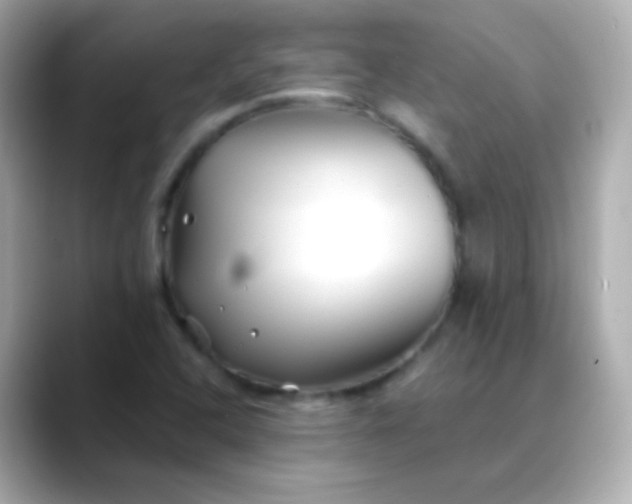 X0000088461408200706051316