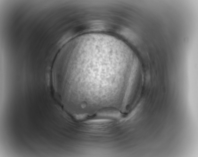 X0000088461409200706051316