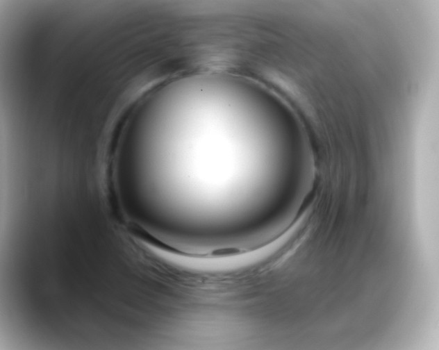 X0000088461410200706051316