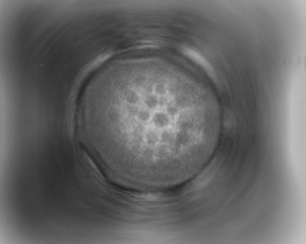 X0000088461411200706051316