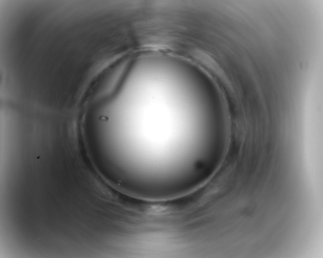 X0000088461412200706051316