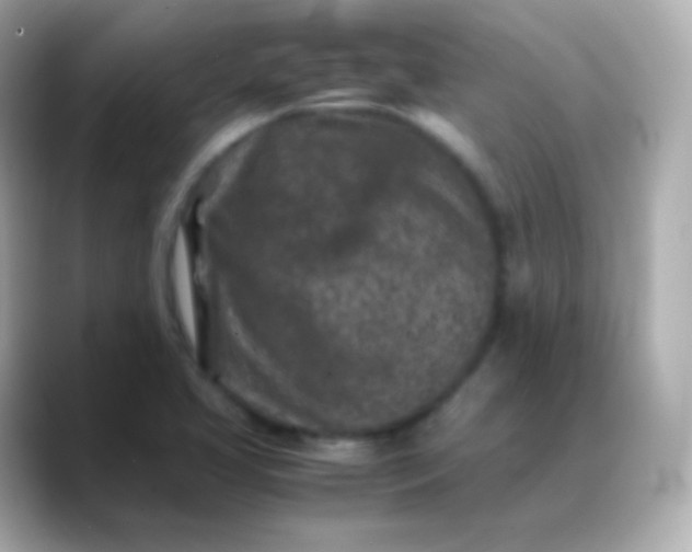 X0000088461413200706051316