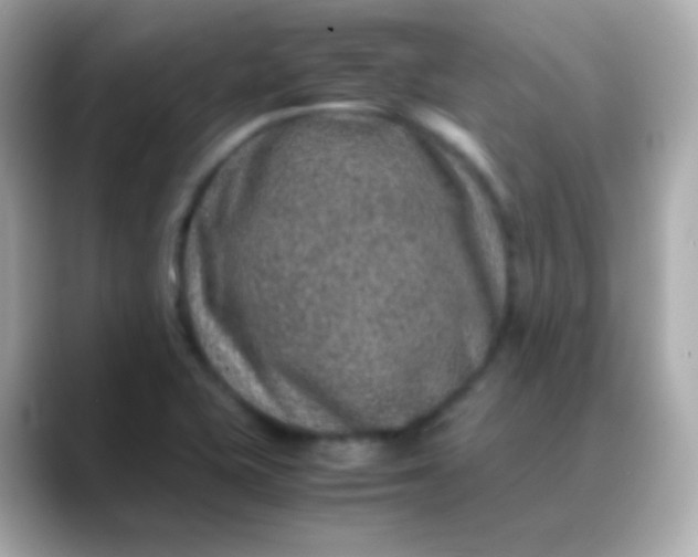 X0000088461415200706051316