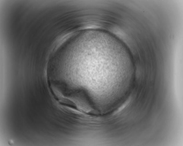 X0000088461417200706051316