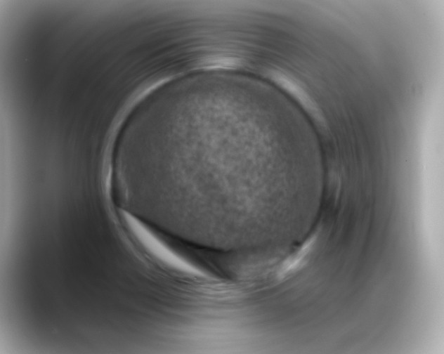 X0000088461418200706051316