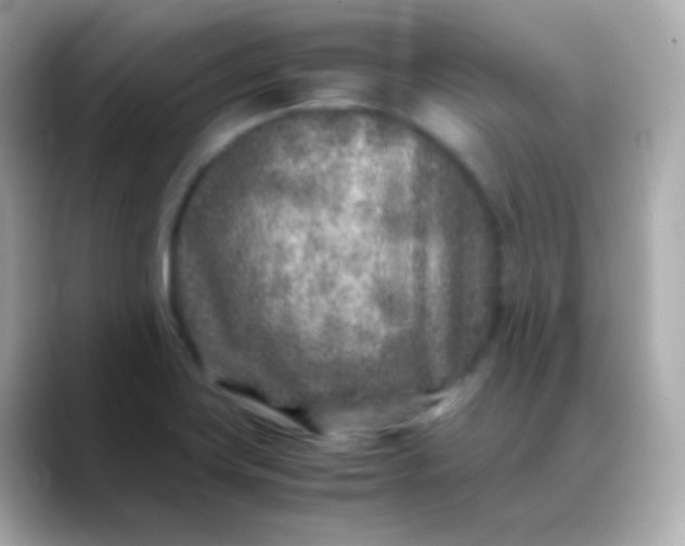 X0000088461419200706051316